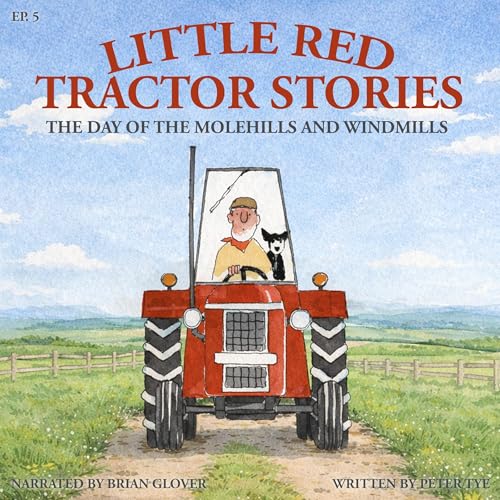 The Day of the Molehills and Windmills Audiolibro Por Peter Tye arte de portada