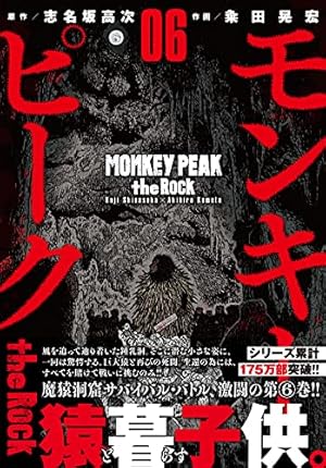 モンキーピーク＋モンキーピークthe rock全巻 Amazon.co.jp: モンキーピーク 全12巻 新品セット : 粂田晃宏, 志名坂