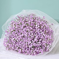 MARTINE MALL Babys Breath Artificial Flowers, 10 PCS Purple Baby