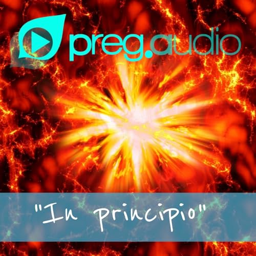 Vangelo del 31 Dicembre 2024: Giovanni 1,1-18 con il commento di don Franco Mastrolonardo copertina