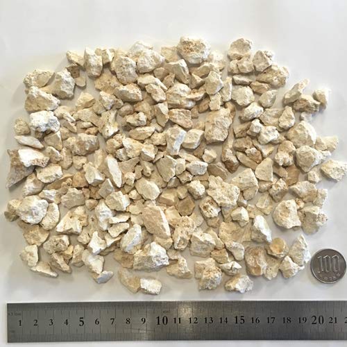 Amazon.co.jp: 琉球石灰岩 洗浄済み 小粒タイプ 0.5cm～3cm 300g