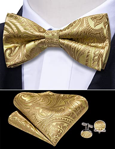 Image of Barry.Wang Men Silk Paisley Cummerbund and Pre-tied Bowtie Handkerchief Cufflink Set for Tuxedo