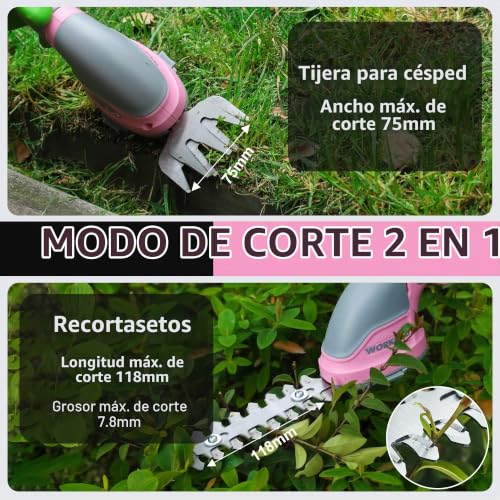 Miniatura 6 de 