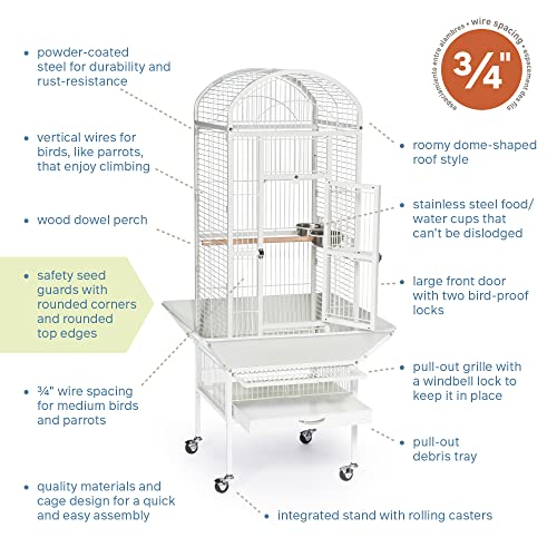 Prevue Pet Products 34512 Dometop Bird Cage, Small thumb #3