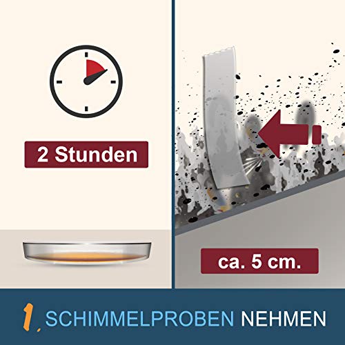 Schimmeltest Ivario Komplettset für die Analyse von Schimmelpilzen