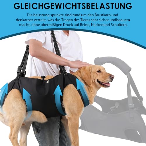 Hunde Tragehilfe, Verstellbares Hundegeschirr zum Heben, Tragbares Gehhilfe Hebegeschirr, Hundetragegurt mit Griff für Ältere, Verletzte oder Behinderte Hunde Hüftstütze für Hinterbeine
