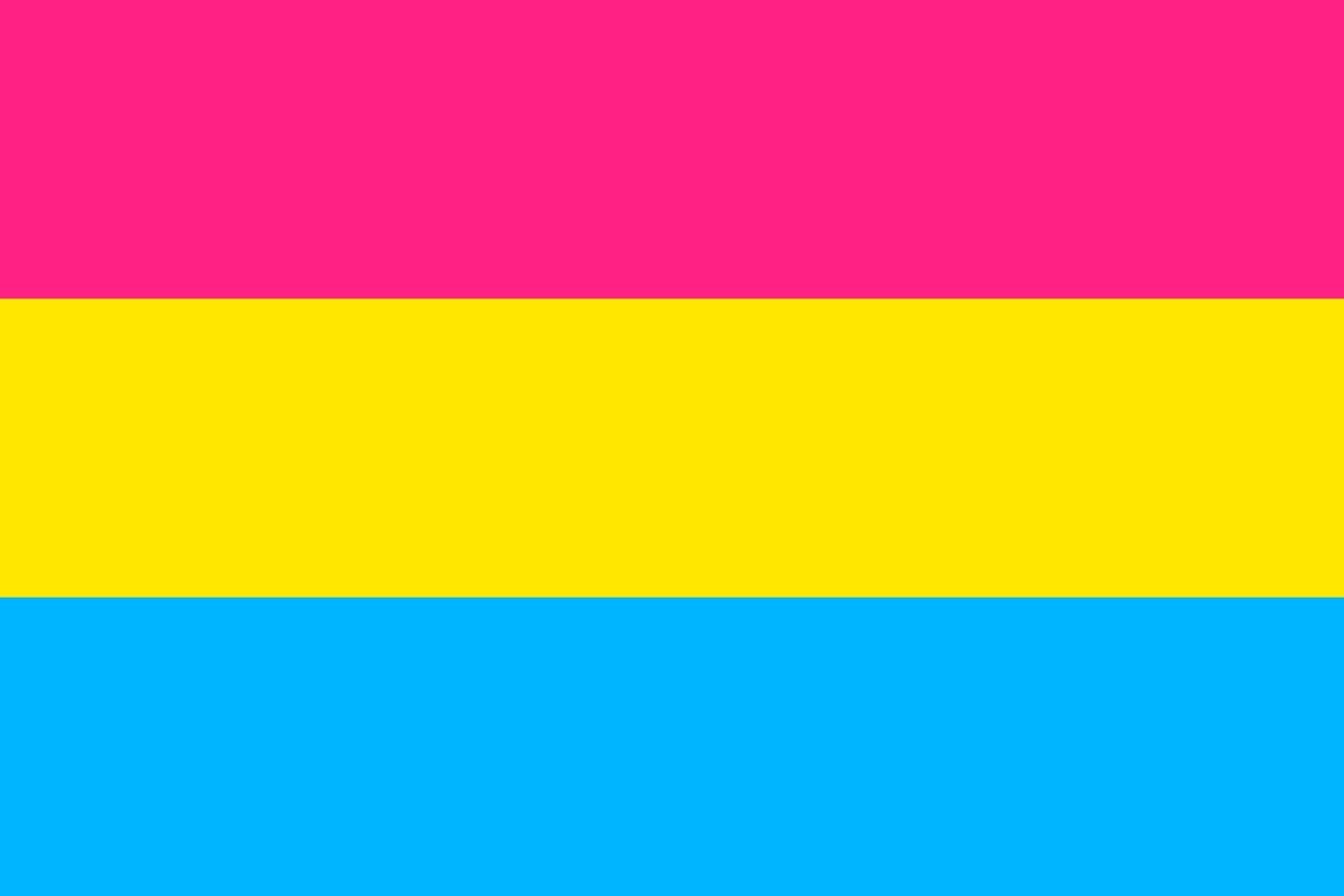 Drapeau XL Kingdom of Cochin de qualité supérieure avec finitions soignées