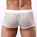 Panegy Men's Fishnet Board Shorts Mesh Beach Shorts Summer Fashion See Through Hollow Out Underwear Swimsuit Trunks