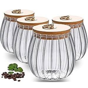 HASA zone Glass Jars with Lids, Set of 4 Glass Canister Storage Jar, 750ML Clear Glass Storage Jar, Airtight Food Canisters for Kitchen Preseving Spice, Sugar, Spaghetti, Cookie&Tea