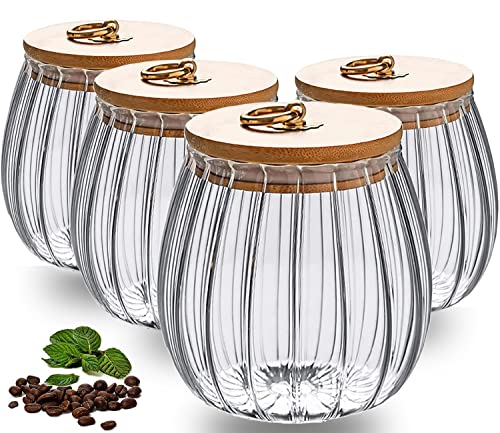HASA zone Glass Jars with Lids, Set of 4 Glass Canister Storage Jar, 750ML Clear Glass Storage Jar, Airtight Food Canisters for Kitchen Preseving Spice, Sugar, Spaghetti, Cookie&Tea