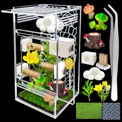 Image of Jumping Spider Enclosure,DIY Insects Habitat,Small Reptile Terrarium Glass House Accessories Set,with Jumping Platform Hide Climbing Net(Green 2)