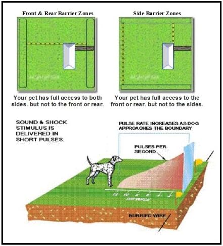 in ground shock collar