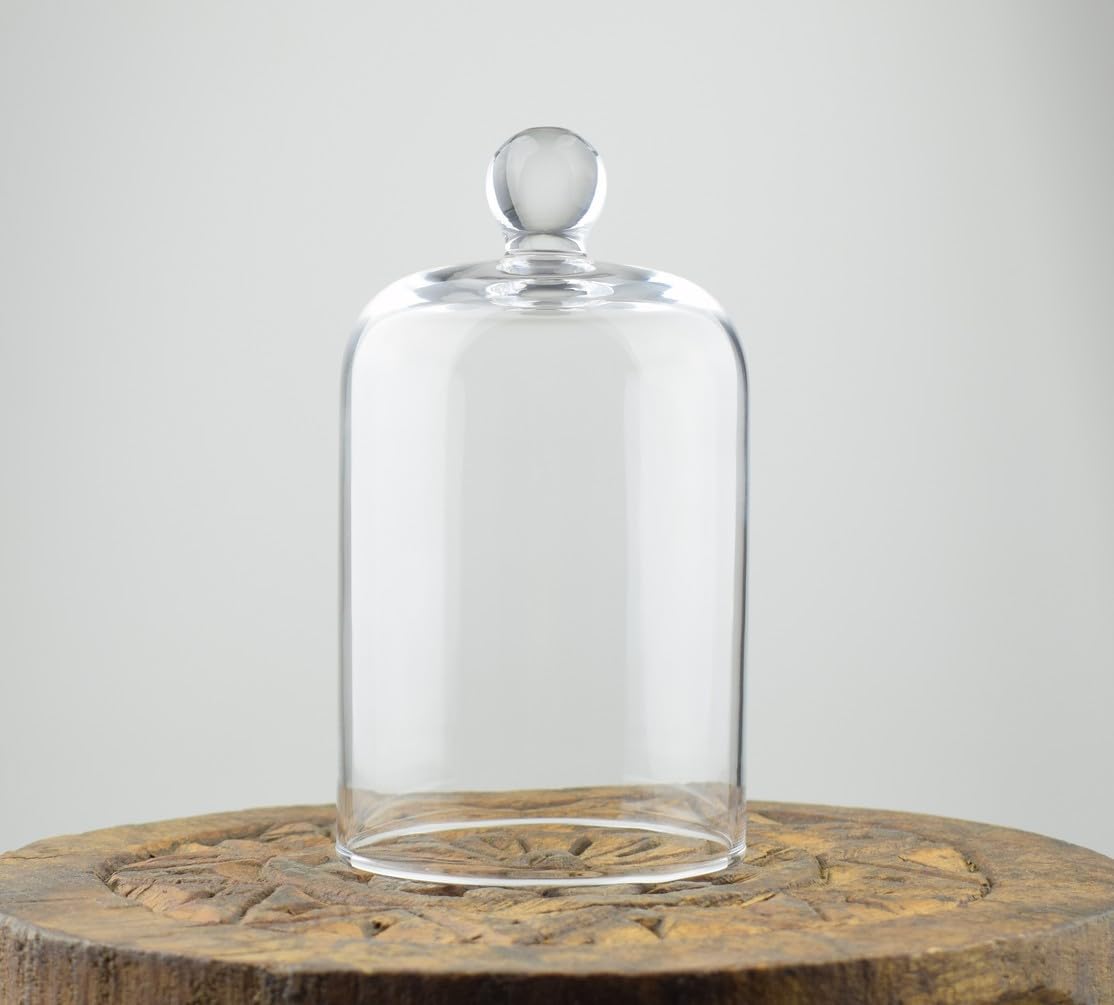 EMH Handmade Glass Display Cover Cloche Bell Dome With Knob Tall 14 cm x 8 cm