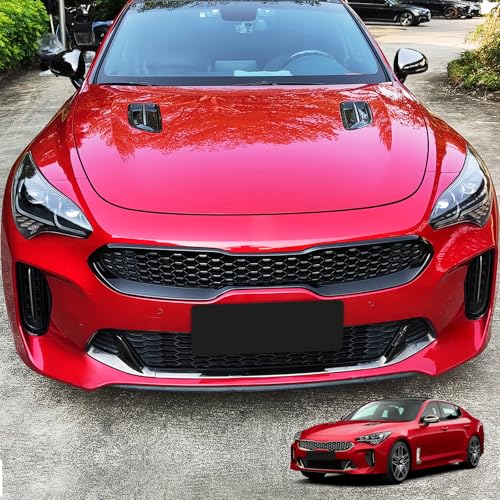 YOUTOOCAR Grille Cover Trim Compatible with Kia Stinger 2018-2023 Accessories (Glossy Black Center Grille Cover)