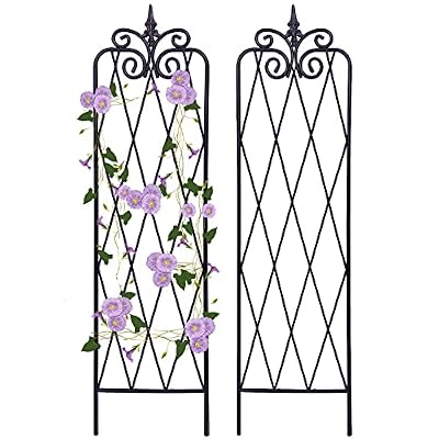 SCENDOR Garden Trellis for Climbing Plants 59inch x15inch Rustproof Metal Vine Trellises for Outdoor Climbing Plants Support Structures A (150cm) 2Pack