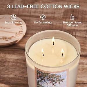 Msense large sized 3 wick apple and spice scent soy waxfallwinter scented candle 247oz with wooden lid 120 hours long lasting burnnatural candle for home fragrance  urban country home decor