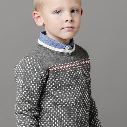 Image of Hope & Henry Boys' Long Sleeve Crew Neck Pullover Sweater