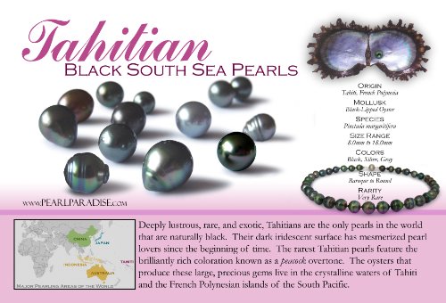 Pearl Paradise 14 quilates oro amarillo redonda