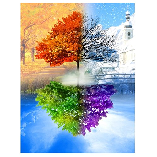 Fipart DIY Pintura de diamante kit de artesanía en punto de cruz Cover