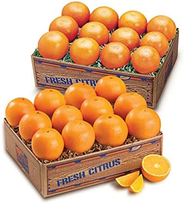 Juicy Indian River Florida Navel Oranges Grove Fresh 2 Trays, 20lbs