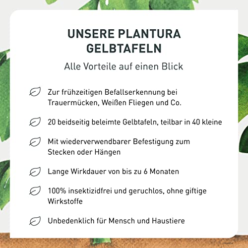 Gelbtafeln Plantura gegen Trauermücken und fliegende Schädlinge
