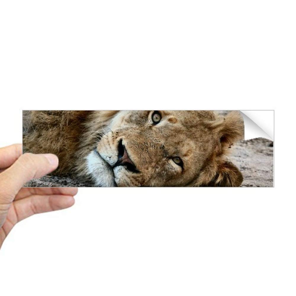 Autocollant lion pour ordinateur portable et décoration de fenêtre