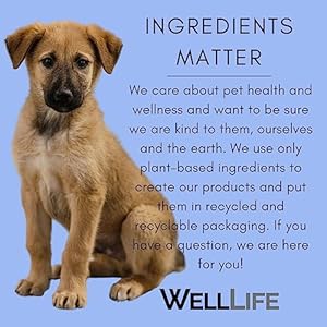 Dog Calming Mist  Relieve Dog Stress from Fireworks Travel Vet Visits Separation Anxiety Aromatherapy Antianxiety Stress Reliever 4 Oz Spray  Cucciolini Doodles Dog calming mist  relieve dog stress from fireworks travel vet visits separation anxiety  aromatherapy anti anxiety stress reliever  4 oz spray   cucciolini doodles