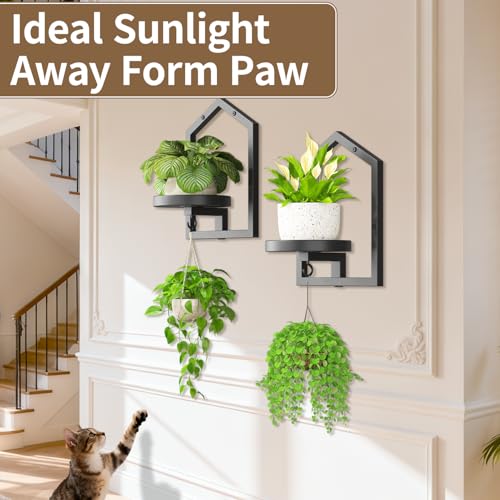 50% Off LASZOLA 3-Pack Wall Shelf Plant Holders - Image 6