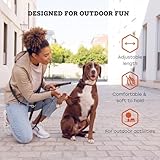 vitazoo Hundeleine - 3mx2,5cm - Nylon-Graphit Leine mit Karabinern für Kleine, Mittelgroße und Große Hunde - Verstellbare Führleine mit 4 Verschiedenen Längen in Schwarz für Ihren Hund