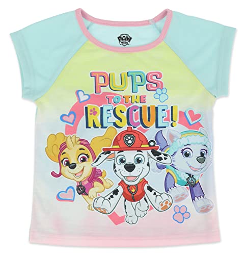 Paw Patrol Girl's 2 Piece PJ Set, Skye Everest Pajama Set, 100% Polyester,Toddler Girl's Size 2T to 5T2