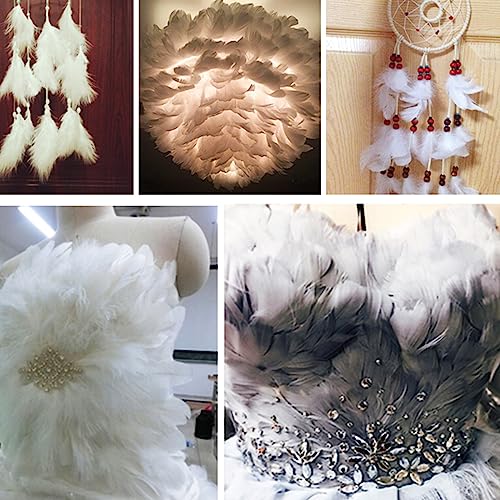 100Pcs Red Fluffy Turkey Marabou Feathers 4-6 Inches For Crafts Dream Catcher Fringe Trim Colored Feathers Fly Tying Material #TOP6