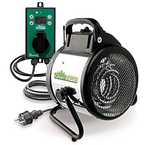 Bio Green PAL 2.0 Palma Elektrische Ventilatorverwarming, 2000 Watt, Digitale Thermostaat
