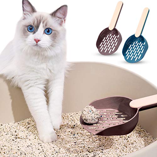 Best Cat Litter To Use 10Reviewz