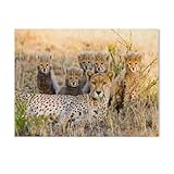 3.le kit de peinture au diamant de forage complet 5D est un nouveau métier de mode, toile colorée, symboles et chiffres clairs, diamant tridimensionnel étonnamment étincelant, peinture au diamant plus facile et plus belle que la broderie au point de croix, est facile à réaliser des œuvres classiques d'art.