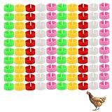 100 Pack Hühnchen Identifikation Beine Ringe,Chicken Tags für Legs Geflügel Bands Clip On Leg Rings für Hühner, Enten, Hühnchen, Goose(5 Farben,)