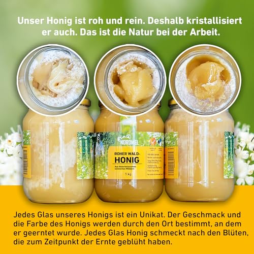 Reiner, wilder, natürlicher, roher Honig, 1 kg, ungefiltert, natürlicher Honig aus dem Ostseewald in Estland, nachhaltig geerntet mit 100% grüner Energie