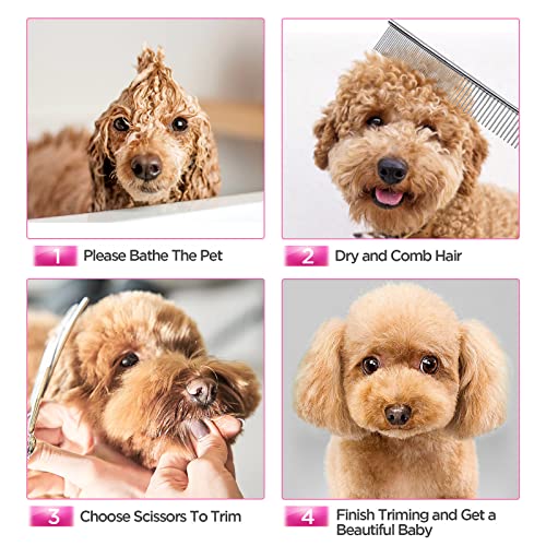 Gimars Hundepflegescheren-Set, professionell, 4CR, mit runder Sicherheitsspitze, 5-in-1-Hochleistungsschere mit Titanbeschichtung und gebogener und gerader Schere