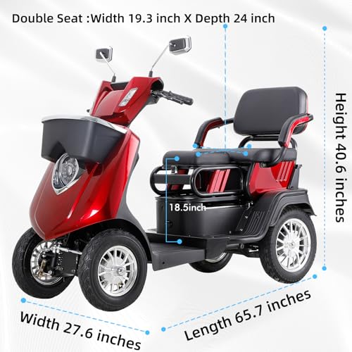 Dvsripa 1000W 2-Seater Mobility Scooter