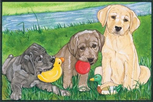 Labrador Retriever Blank Note Cards Boxed