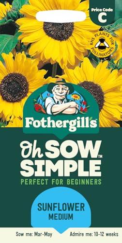 Fothergills Oh Sow Simple Sunflower Medium Flower Seeds Sow: Mar-May Yellow