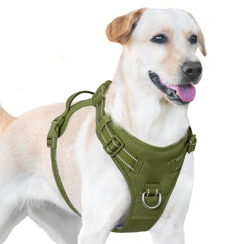 Sunraymascota Dog Harness Medium Oxford Fabric No Pull Dog Harness,4 Adjustable Points for Easy Fit,Breathable,2 Leash Attachments for Training and Walking,Fits Small Medium Large Dogs(Misty Green,XS)