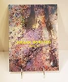 Frank Bowling O. B. E., RA: Paintings 1974-2010