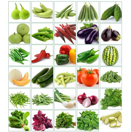 InHydro - Summer Vegetables seeds kit for home, hobby garden and kitchen & Balcony Gardening (Pack of 30 Variety) 2000+ summer seeds (B0C7481Y5B) Amazon Price History, Amazon Price Tracker