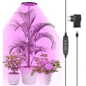 Lampe Végétale LED à spectr...