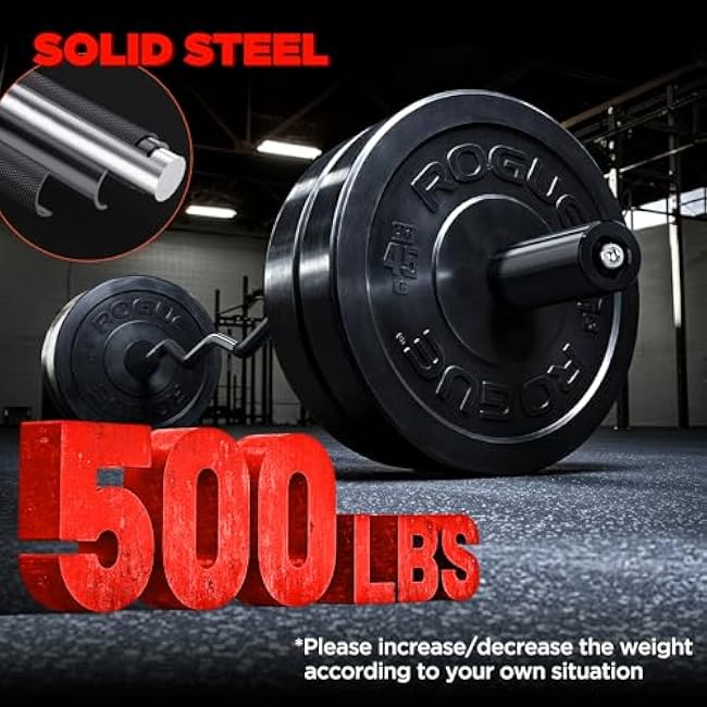 TEEMOO Olympic EZ Curl Barbell Bar, 47 Curl Bar with 2 Spring Collars,Curling bar for Weight Lifting, Squat, Hip Thrusts, Biceps, 500lb Weight Capacity, E-Coat Finish for 2 inch Weight Plates (Black)