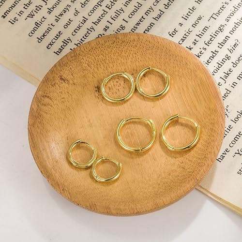 G23 Titanium Earrings, Women Hoop Earrings for Sensitive Ears, Huggie Hoop Earrings, Cartilage Helix Sleeper Lightweight Small Hoop Earring, Nickel Free Hypoallergenic Earring Silver/Gold/Rose Gold/Black3