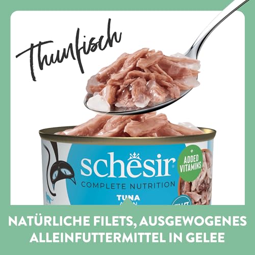 Schesir, Bonito in Gelee, Vollwertiges Nassfutter für Katzen, In Dose, Mit Zugesetzten Vitaminen, 100% Natürliche Filets, Cruelty-Free… – Ansicht 3