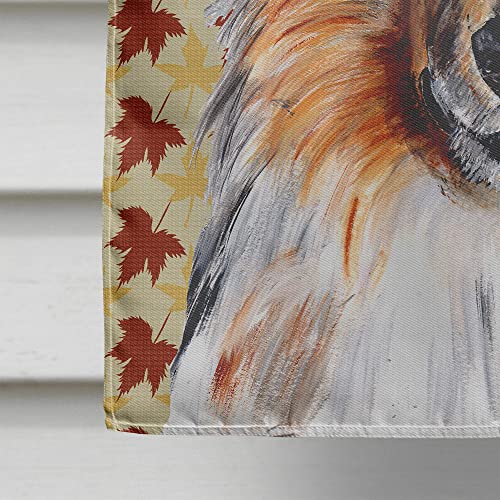 Drapeau de maison collie anti-décoloration toile robuste automne - 5