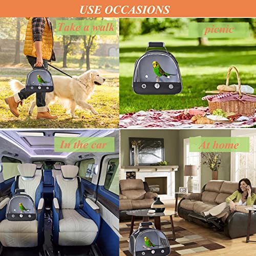 FCQQYWZ Gaiola de Viagem para Pássaros com Suporte, Gaiola de Viagem para Pássaros Pequenos para Pap