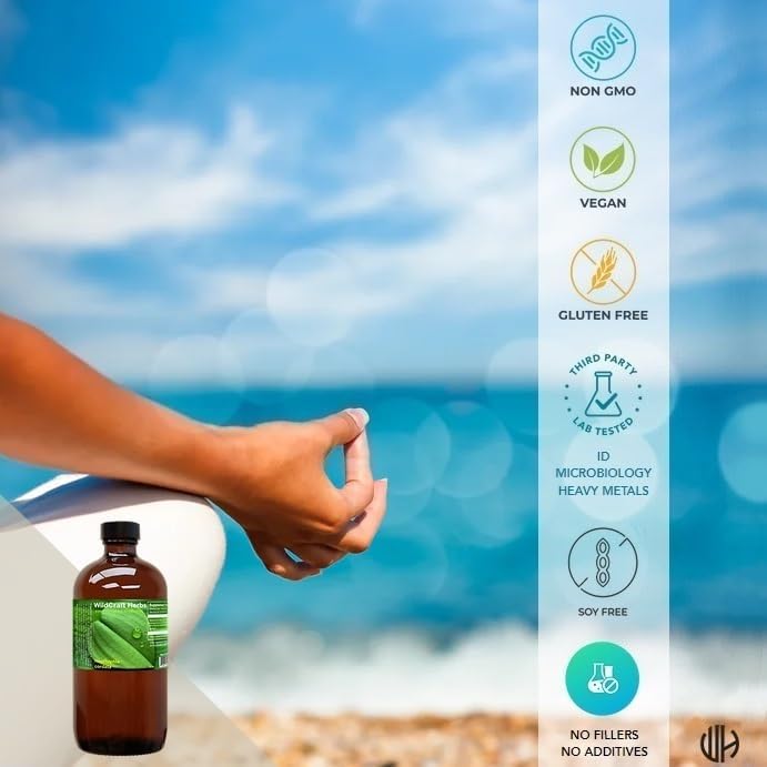 Miniatura 4 de Extracto de tintura de hierbas Houttuynia Cordata 16 oz